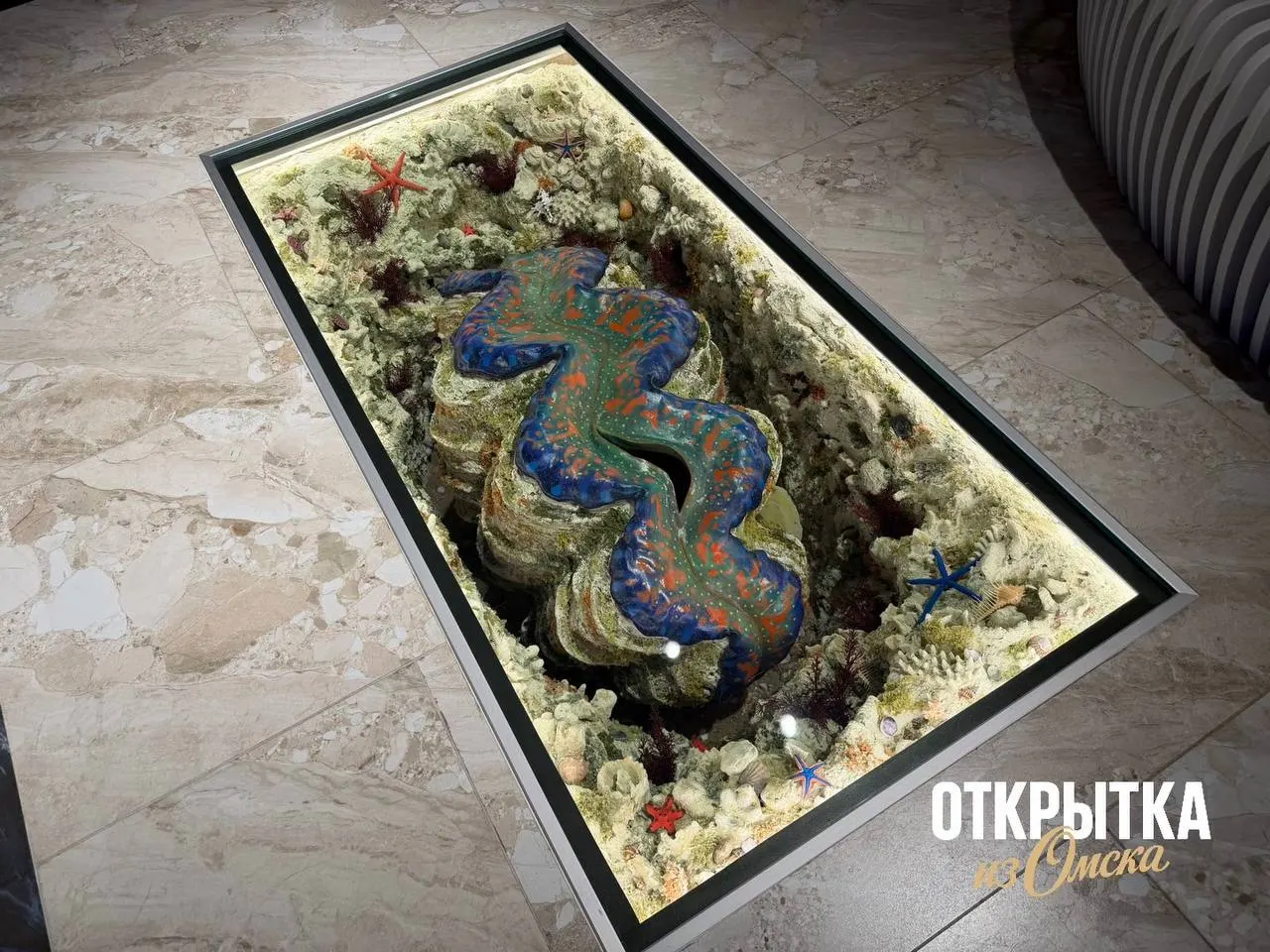 На улице Гагарина, 20 откроется музей, посвящённый морским раковинам и подводному миру. В основе экспозиции — частная коллекция более 22 тысяч образцов; официальное открытие запланировано на «Ночь музеев».