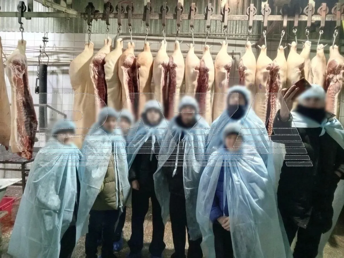 В Красноярском крае школьников 14 лет сводили на экскурсию в местную скотобойню: часть детей была шокирована и отказалась заходить в цеха, а в конце их выстроили для фото на фоне туш.