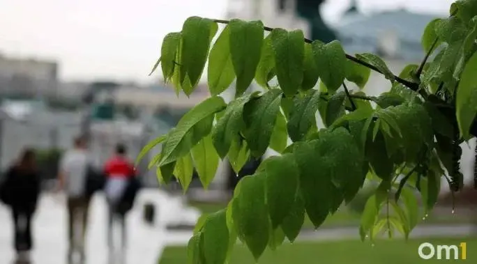 Прогноз обещает до +24°C сегодня, затем похолодание до +18°C и кратковременные осадки; в начале следующей недели снова потеплеет до +21°C, а во вторник возможна гроза.