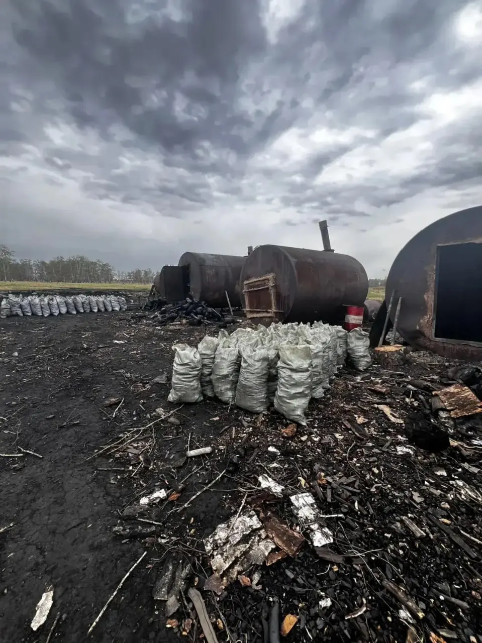 На площади более 7 тыс. м² в заказнике в Омской области организовали промышленную выработку древесного угля: на месте остались шлак, сажа и повреждённый плодородный слой почвы. Правоохранители составили протоколы, виновные очищают территорию.