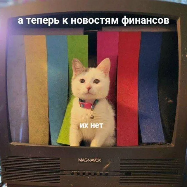 Жители региона пострадали от нескольких мошеннических схем: от подставных «сотрудников банков» до видеозвонков с требованием отдать наличные — общая сумма ущерба превысила 13,5 млн рублей.