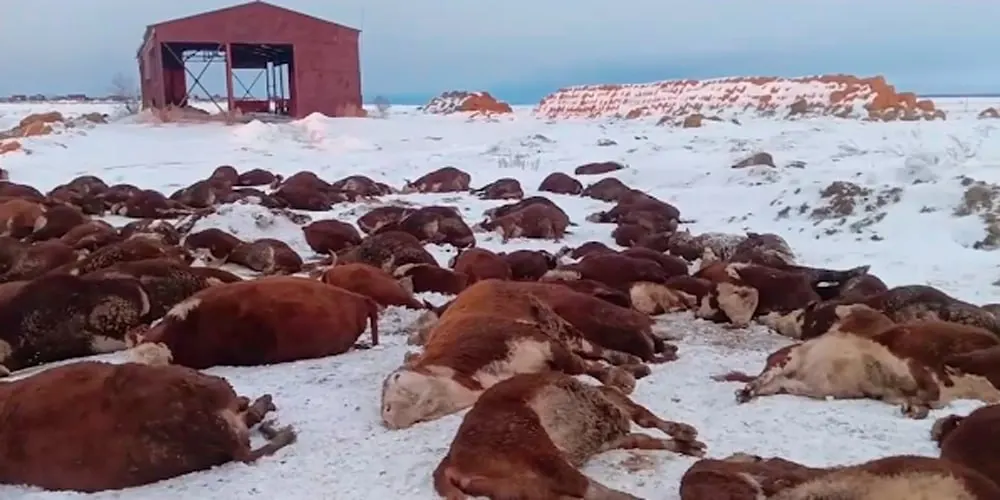 Пробами поверхностных вод около села Козиха установили превышения по аммонию, нитритам и анионным ПАВ — материалы проверки направлены в надзорные органы.