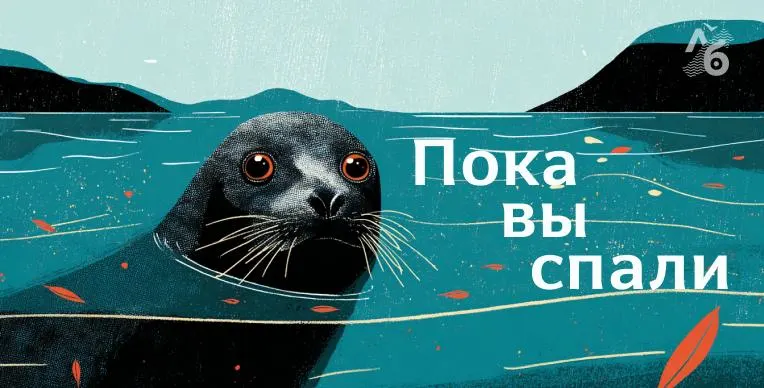 Краткий обзор: введение ЧС из‑за лесных пожаров, инцидент с задержанием подростка в Москве, сокращение скидок в ВШЭ и другие заметные события.