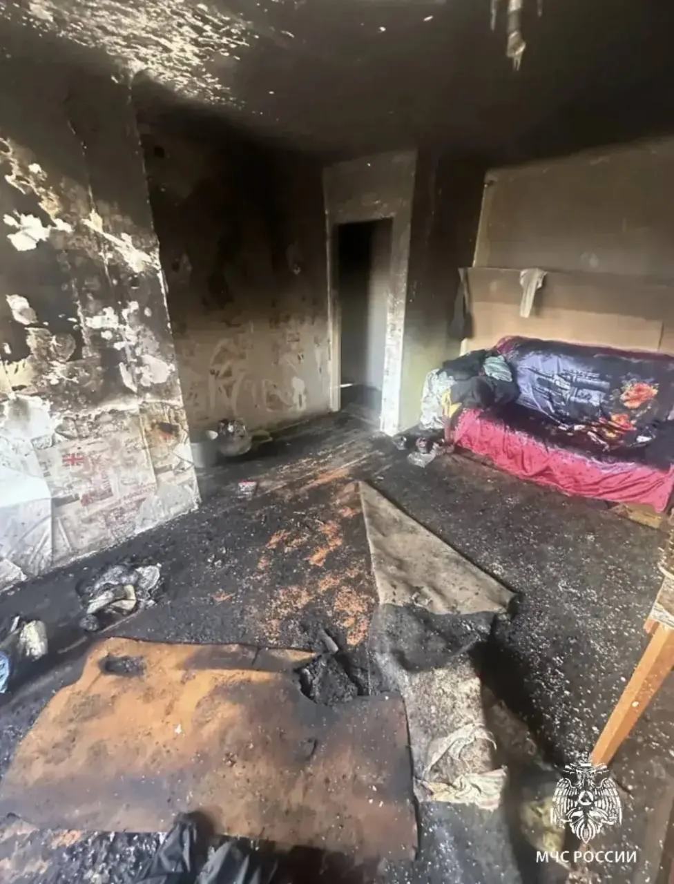 Ранним утром в квартире на четвёртом этаже произошёл пожар — огонь потушили на площади около трёх кв. метров, из подъезда эвакуировали шесть человек. Предполагаемая причина — опрокинутая кошкой пепельница с тлеющим окурком.