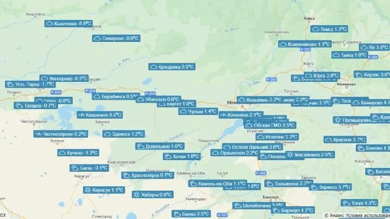 Утром температура в ряде населённых пунктов Новосибирской области опустилась ниже нуля. В Новосибирске около +3 °C, днём ожидается потепление до +8…+10 °C. Также наблюдается сильный ветер.