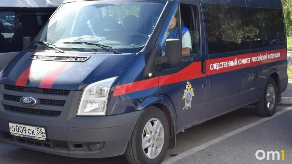 Следователи начали уголовное расследование по факту массового недомогания учеников: возможная причина — утечка природного газа при работах рядом со школой.