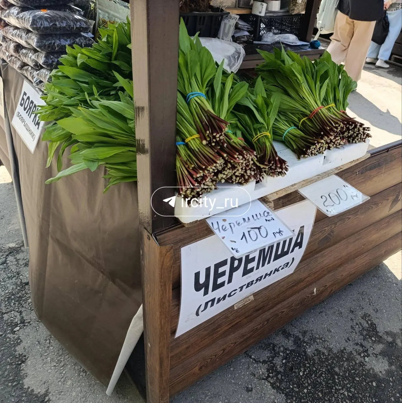 Дикий чеснок уже продают на Центральном рынке Иркутска: привозят из Листвянки и окрестностей, средняя цена — 100–200 рублей за пучок.