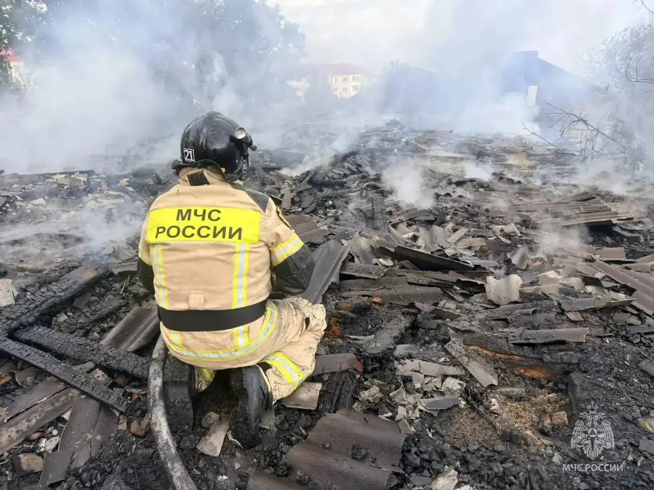 В райцентре Благовещенка Алтайского края пожар в хозяйственной постройке уничтожил кровлю и привёл к гибели птицы; люди не пострадали.
