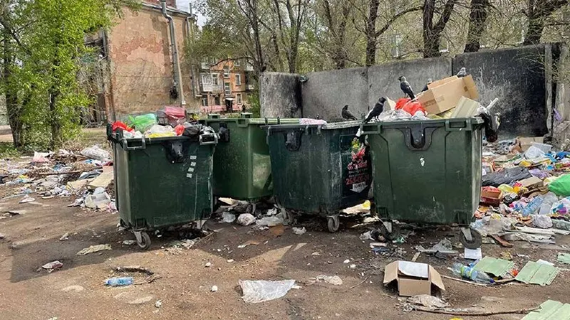 Пять региональных компаний по вывозу и переработке мусора в 2025 году показали совокупную выручку свыше 2,7 млрд рублей; общая прибыль — 94,3 млн рублей, лидером по прибыли стала барнаульская «ЭКОСОЮЗ».