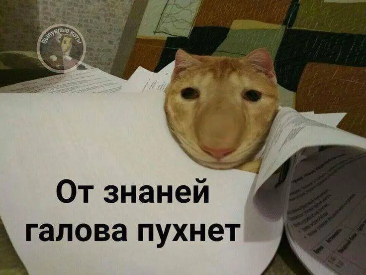 Минспорт планирует добавить в комплекс ГТО испытание по управлению небольшим дроном: тестовый запуск запланирован на этот год, а с следующего по всей стране можно будет получить знак ГТО, дающий дополнительные баллы к экзаменам.