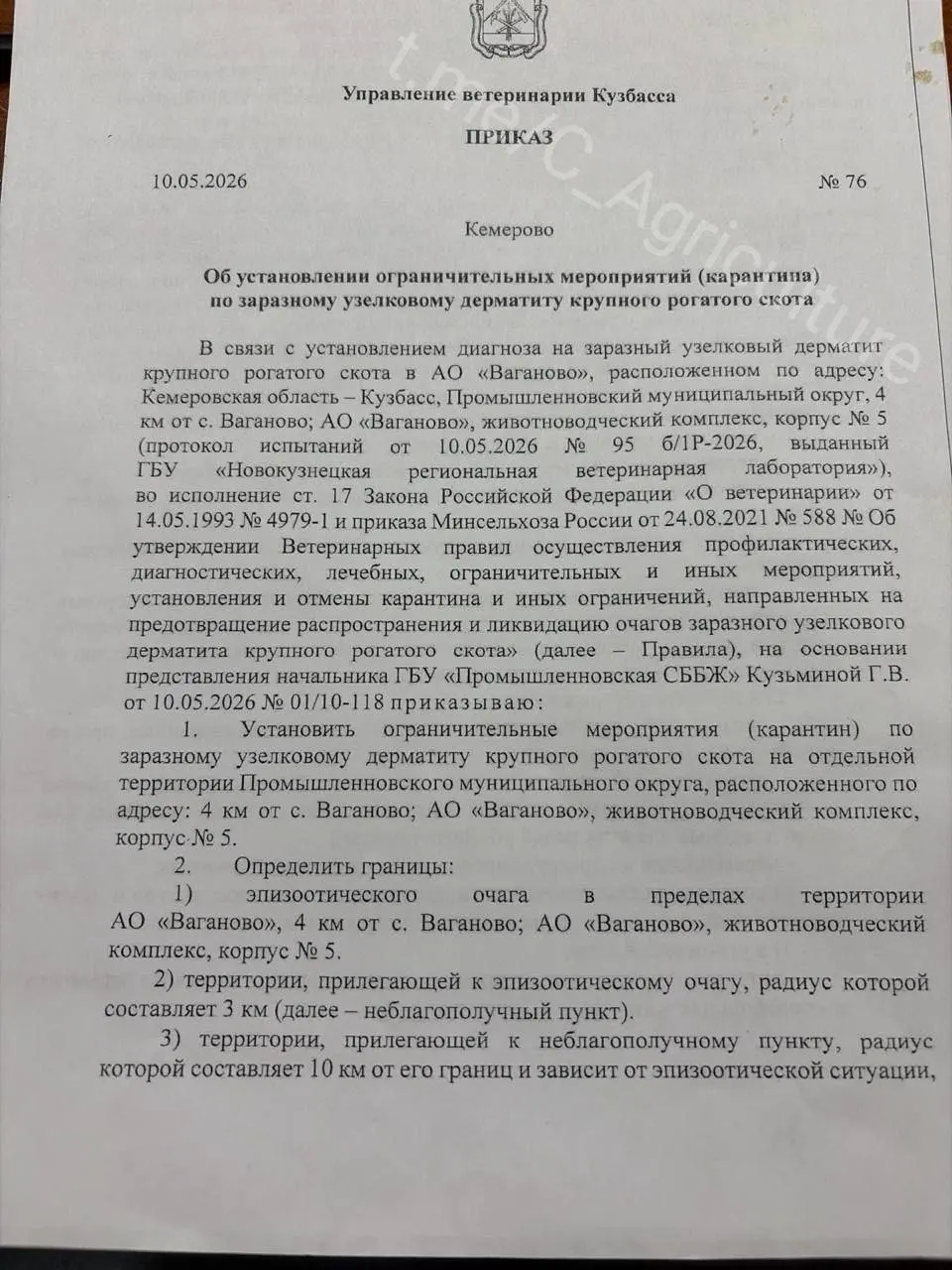 В Мысках (Кемеровская область) владельцам скота вручили предписания в связи с подозрением на очаг узелкового дерматита: требуют предоставить поголовье для осмотра и лабораторных исследований, вводятся жёсткие ограничения на реализацию продукции. Жители выражают обеспокоенность и ссылаются на недавние карантинные меры в соседних населённых пунктах.