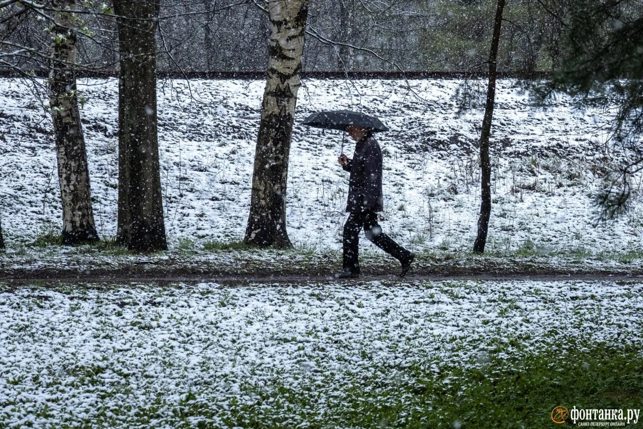 В ночь на 13 мая в Кузбассе прогнозируют похолодание до −1…−6 °C, при этом возможны сильный ветер и снегопады; местным жителям советуют учитывать ухудшение погоды.