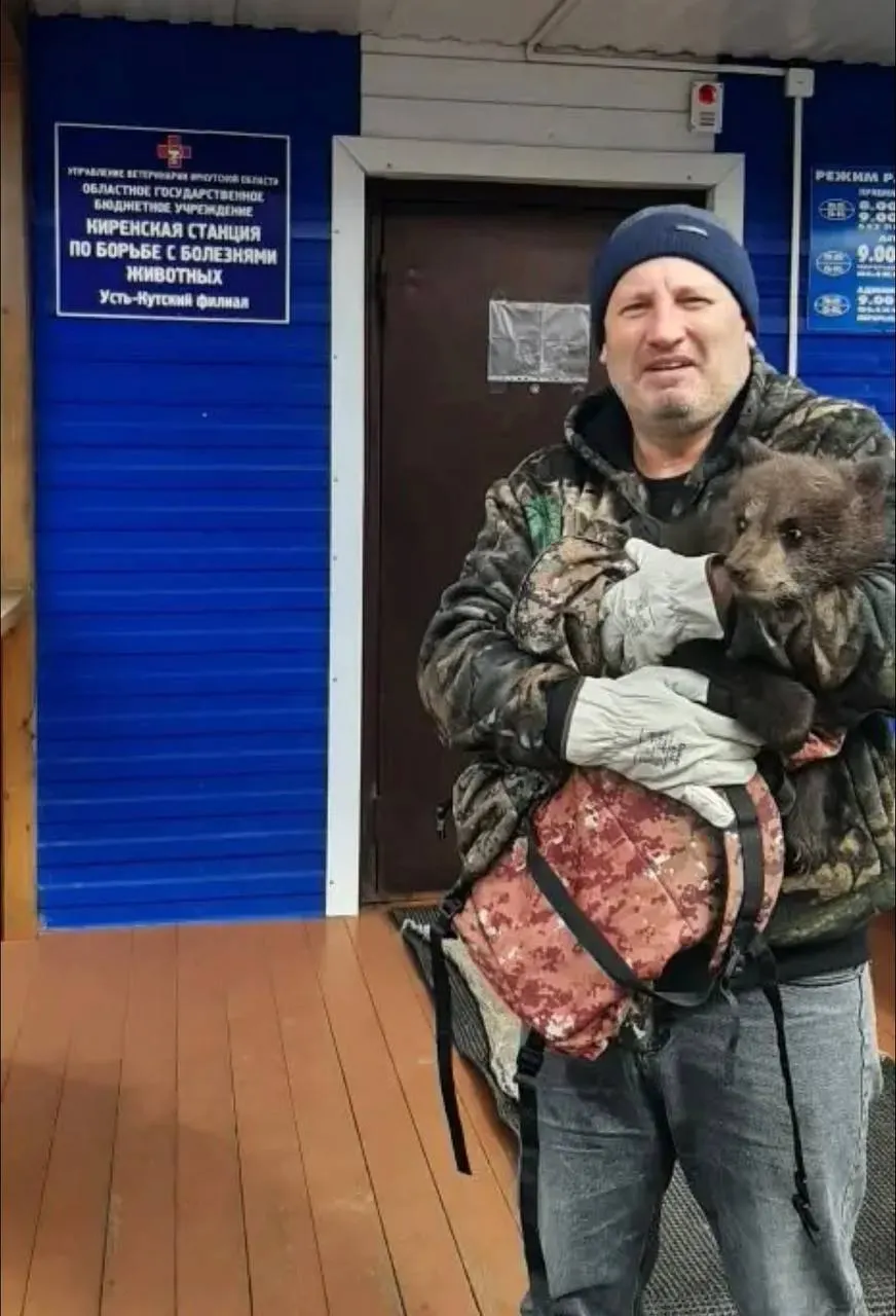 Медвежонка, найденного во дворе частного дома в Усть-Куте без матери, забрали в Сибирский зоопарк — ему назначат осмотр и режим кормления.