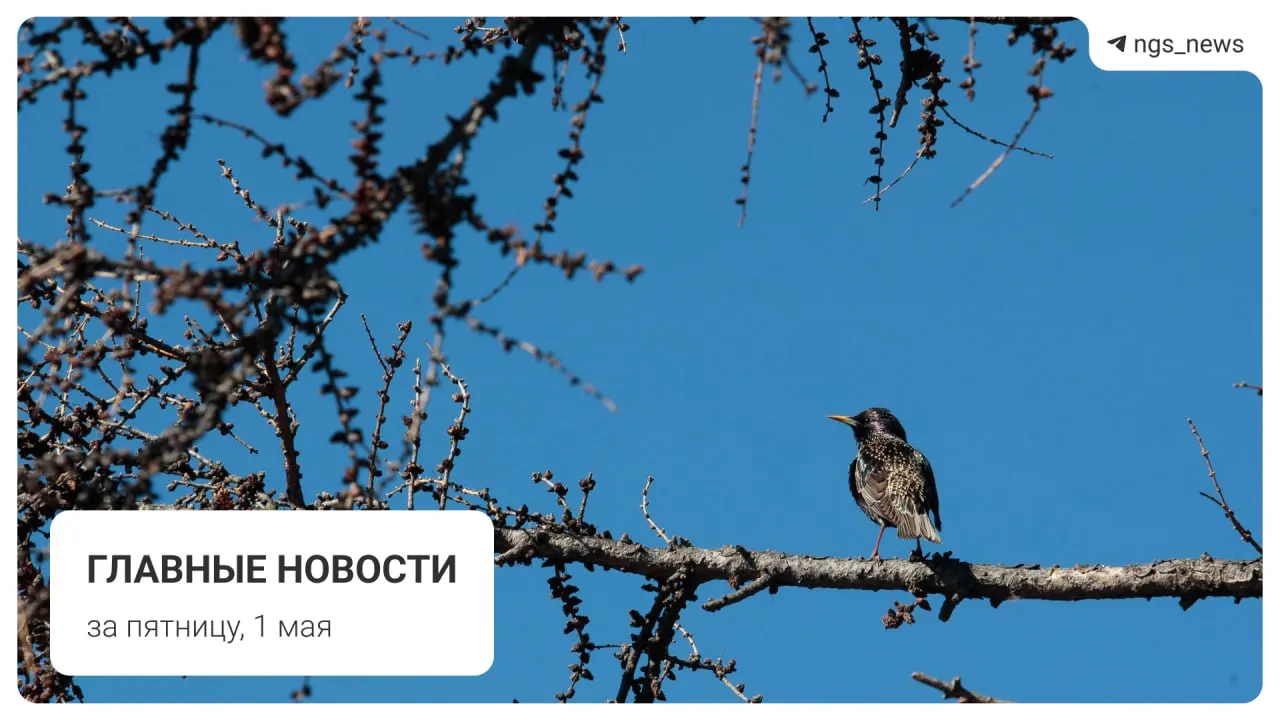 В детской спортивной школе в Татарске обрушился потолок; пострадавших не обнаружено. Также — новости о метро, фонтане в Центральном парке, первомайском шествии и инциденте на площади Маркса.