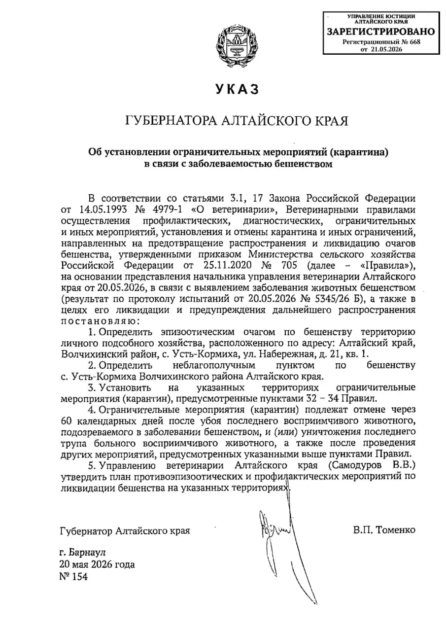 В селе Усть‑Кормиха Волчихинского района зарегистрирован 59-й с начала года очаг бешенства. В населённом пункте введён 60‑дневный карантин.