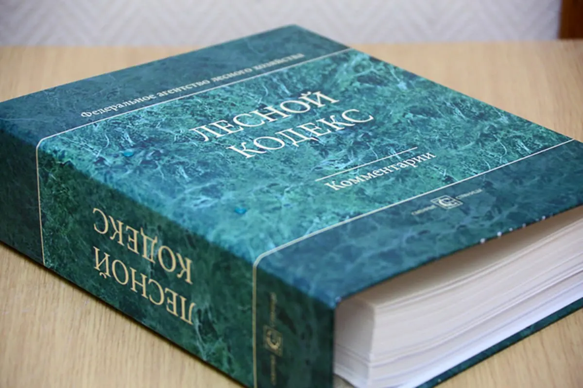 С 2006 года в Лесной кодекс внесли 79 пакетов поправок — эксперт считает, что документ устарел и требует полной и значительно упрощённой замены.