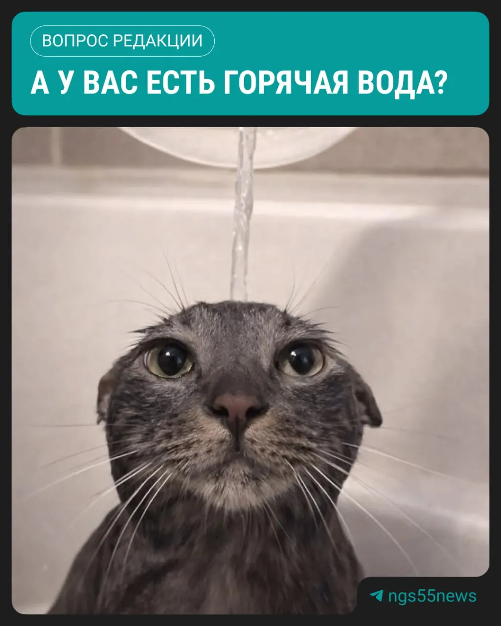 С 19 мая в Омске начались поэтапные отключения горячего водоснабжения: первые две волны продлятся до начала июня, под отключения попадут почти 4 тыс. домов.