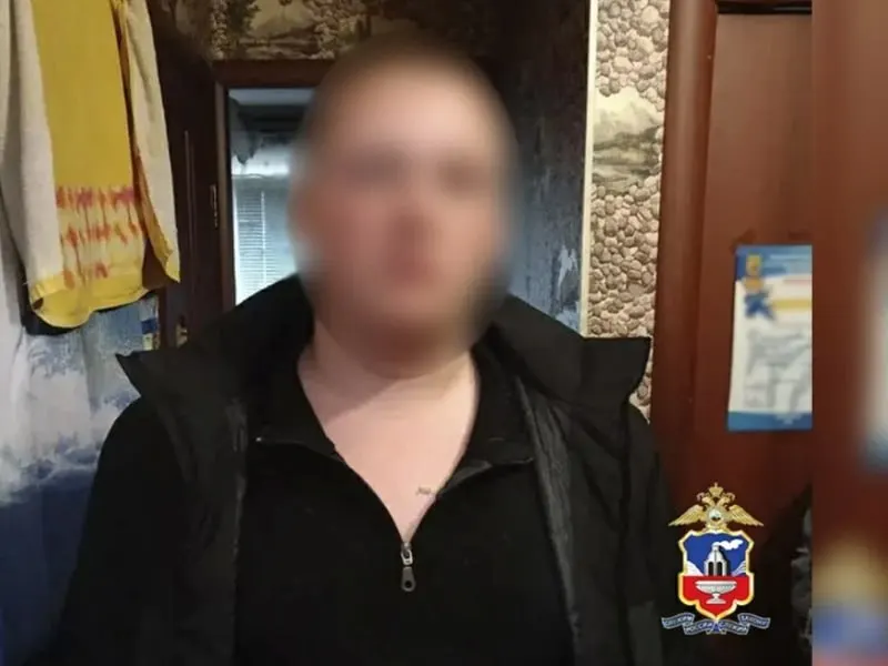 Следствие считает, что молодой человек по указанию кураторов собирал у пенсионеров наличные и передавал мошенникам — потерпевшие лишились около 10 млн рублей. Ему предъявлены обвинения по статье о мошенничестве.
