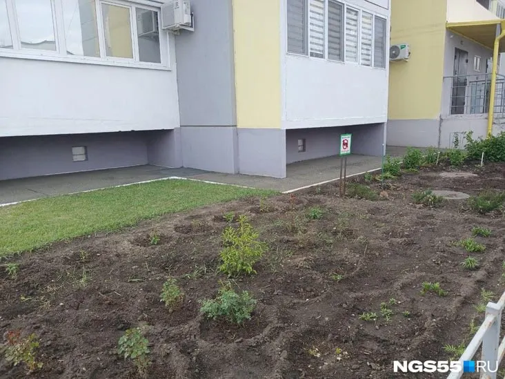 Жильцы многоквартирных домов всё чаще высаживают овощи и цветы на придомовой территории. Эксперт по ЖКХ объясняет, как легально и безопасно организовать посадки и какие растения лучше выбирать.