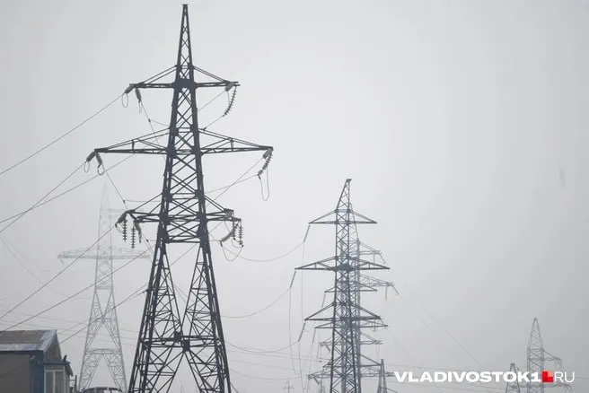 Минэкономразвития и правительство заложили ежегодную индексацию тарифов: с октября 2026 года и по 2029 год цены для жителей Приморского края будут расти и к 2029 году достигнут примерно 8,04 ₽/кВт·ч.