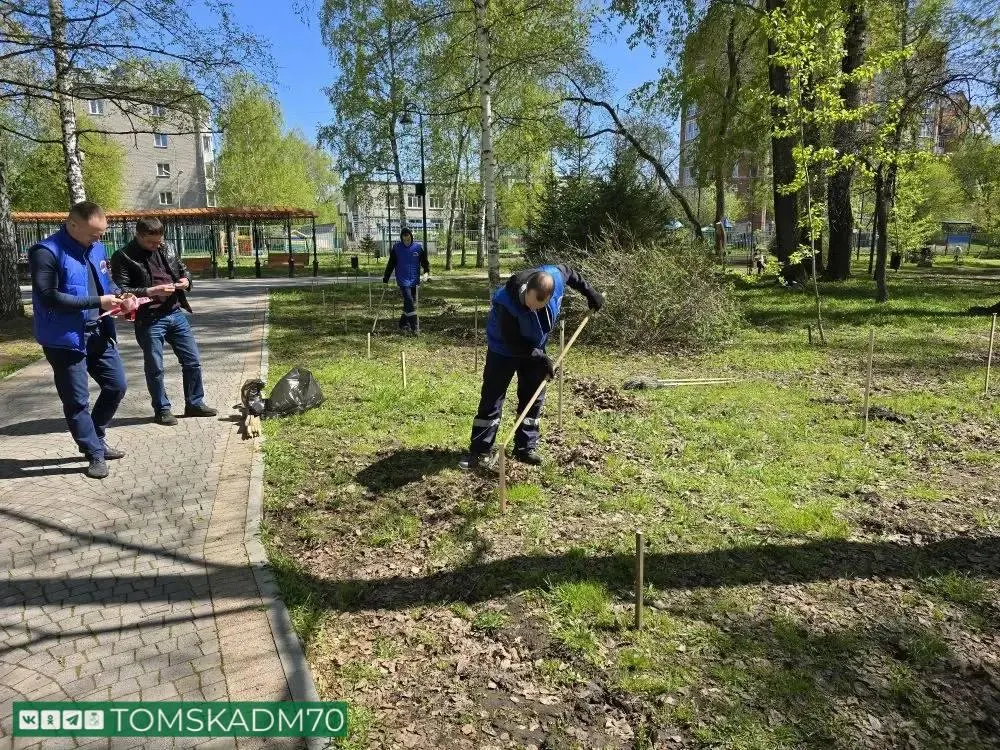 В Буфф-саду Томска в начале июня высадят 12 яблонь и 15 кустов гортензии по инициативе сотрудников компании — подготовительные работы уже начались.