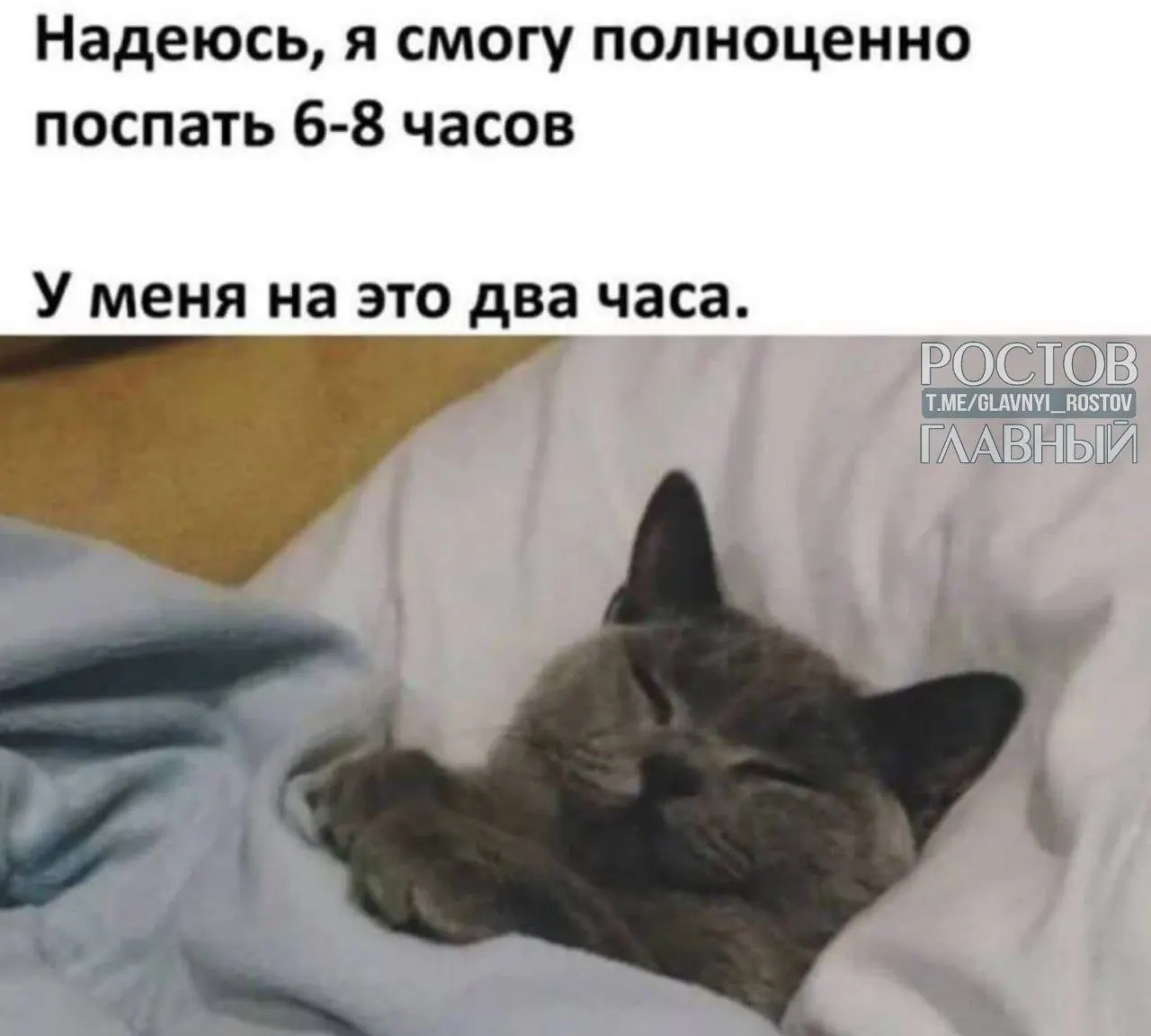 Популярные направления — Подмосковье, юг России, Ленинградская область, Кавминводы и Алтай. Туристы ищут отели без связи и интернета, чтобы полностью отключиться.