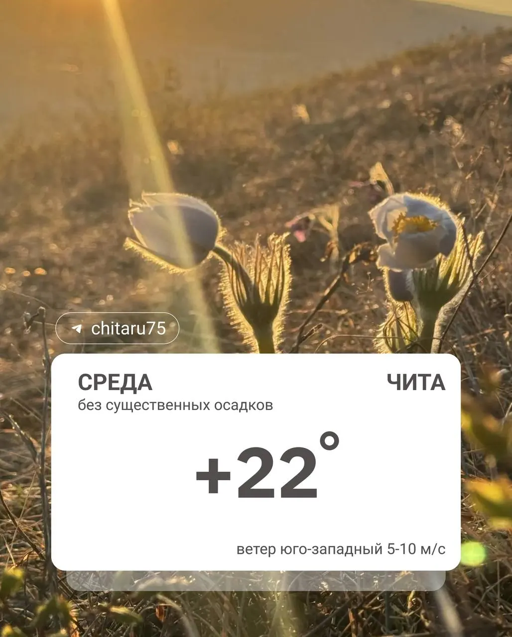 Ночная температура в Чите опускалась до +2…0 °C. Днём ожидается потепление.