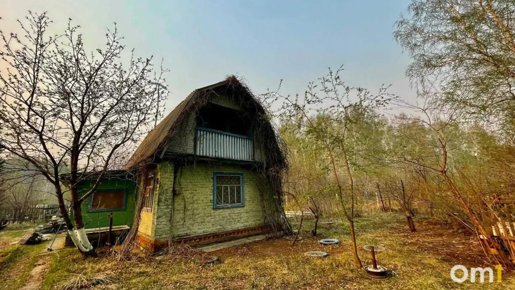 Рост цен на землю в Омске — один из самых сдержанных среди крупных городов: средняя сотка стоит 94 тыс. руб., дешевле только в Волгограде.