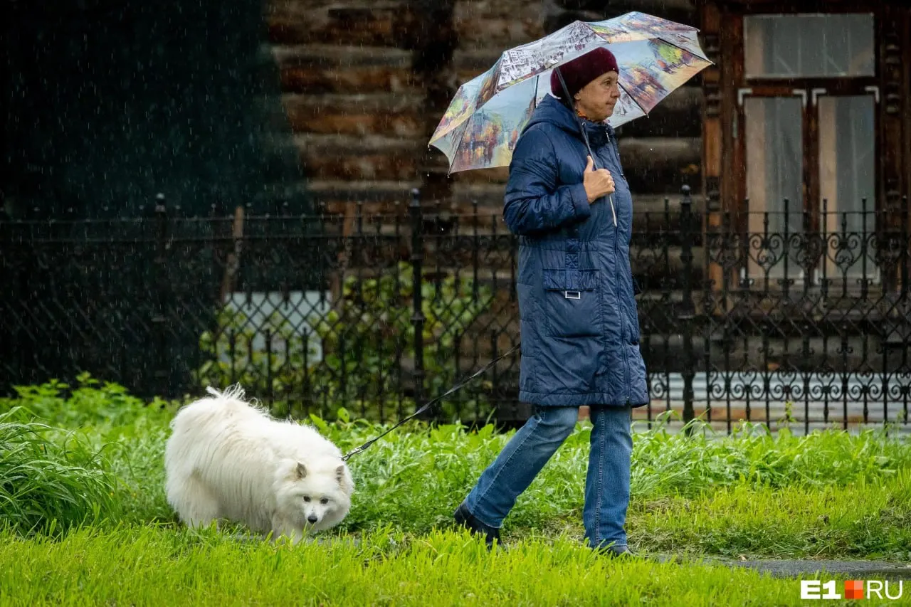 После короткого потепления на выходных в Кузбассе придёт арктическая холодная масса: ожидаются дожди, грозы и похолодание до примерно +5 °C в воскресенье.