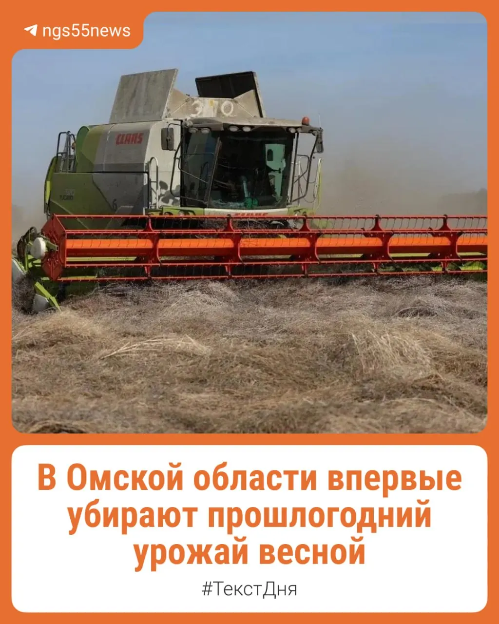 Из‑за раннего снегопада осенью 2025 года десятки тысяч гектаров пшеницы, рапса, льна и подсолнечника оказались под снегом. В середине апреля аграрии в Черлакском районе вывели комбайны, чтобы собрать то, что не успели убрать осенью.