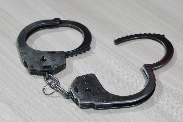В Алтайском крае мужчину признали виновным в смертельном ударе ножом по шее гостя после словесной ссоры; суд назначил 8,5 года колонии строгого режима.