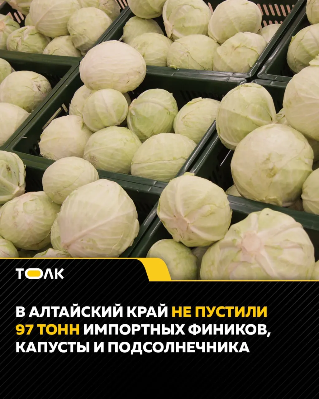 С 30 апреля по 3 мая при проверках 24 машин подкарантинной продукции в регион не пустили 60 т капусты и 17 т подсолнечника из Казахстана и 20 т фиников из Ирана из‑за отсутствия документов и несоответствия маркировки.