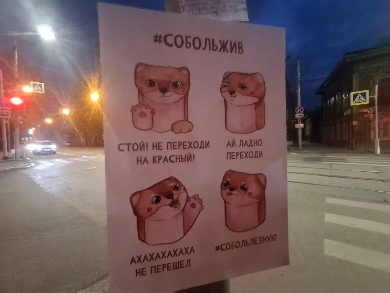 На перекрёстке Декабрьских Событий и Красногвардейской установили знак с изображением соболя, который предупреждает водителей об опасностях на дороге.