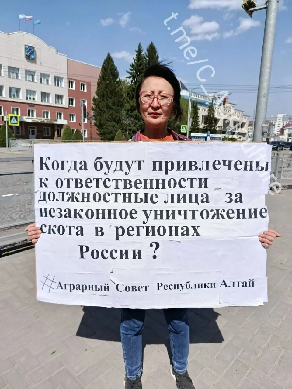 В Алтайском крае прошёл одиночный пикет: ветврач из Республики Алтай потребовала привлечь к ответственности должностных лиц, ответственных за массовую ликвидацию скота в сибирских регионах.