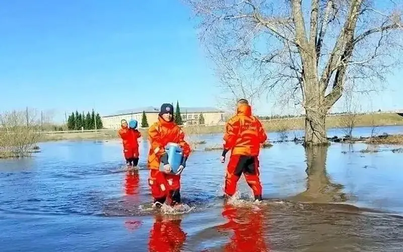 Два жилых дома, восемь дачных и 89 приусадебных участков остаются подтопленными; также подтоплены четыре участка автомобильных дорог, сообщил глава регионального управления МЧС Виктор Орлов.