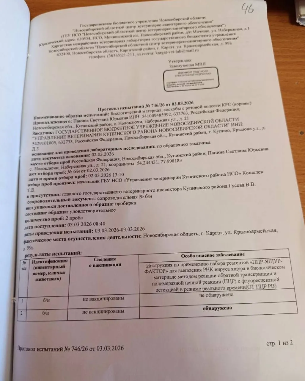Областные ветеринарные службы зафиксировали ящур у коровы в крестьянском хозяйстве. После положительного анализа в хозяйстве провели массовое умерщвление поголовья, а в регионе обсуждают возможное сокрытие информации.