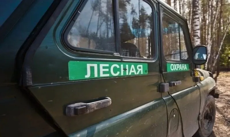 В Томской области набирают добровольцев для патрулирования лесов и помощи лесной охране: обученные помощники будут следить за пожарной безопасностью, незаконными рубками и порядком при сборе лесных ресурсов.