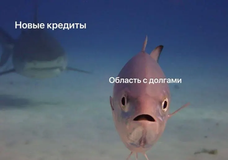 Минфин региона намерен в июне взять кредиты на 9 млрд рублей под 18% годовых. Погашение запланировано до мая или августа 2027 года. С начала года область уже привлекла почти 33 млрд рублей.