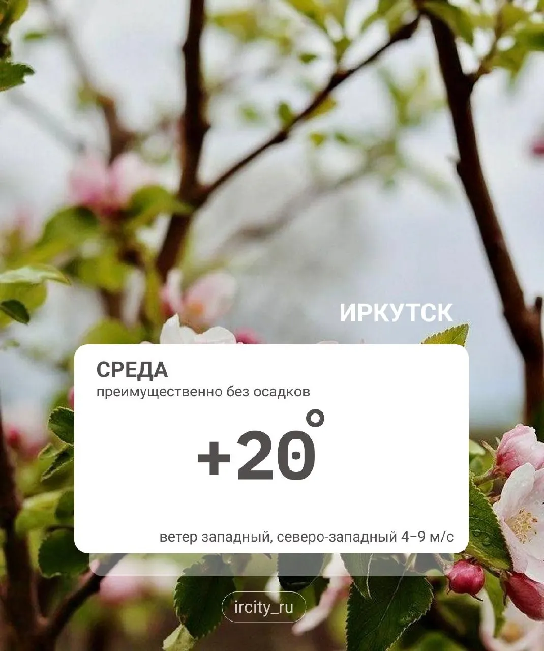 Переменная облачность, местами небольшие дожди; в горах возможны кратковременные осадки. Утром — туманы и при прояснении заморозки до -3 °C, днём до +22 °C (при облачности — около +12 °C).