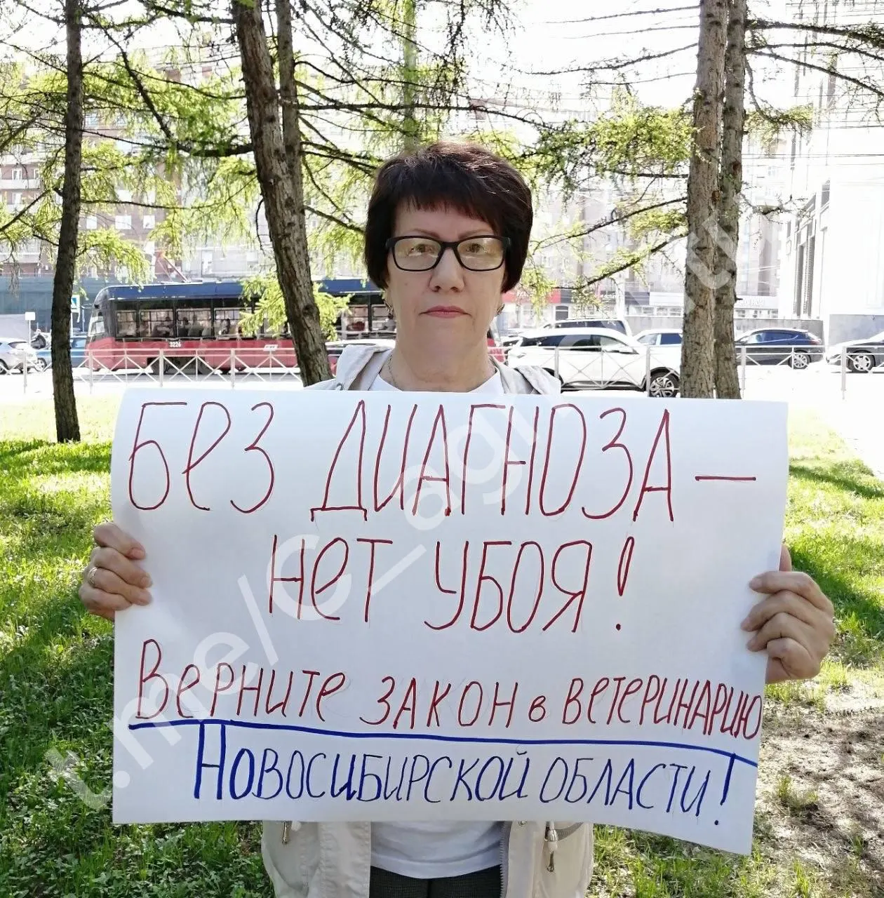 Жительница провела одиночный пикет с требованием вернуть закон в ветеринарию после уничтожения животных, которым приписали ящур; власти называют документы поддельными.