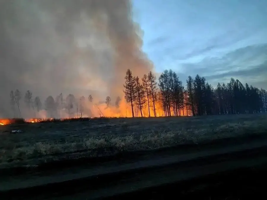 В республике действуют восемь очагов горения на общей площади около 2,6 тыс. га; с начала сезона зарегистрировано 36 пожаров, основная причина — человеческий фактор.