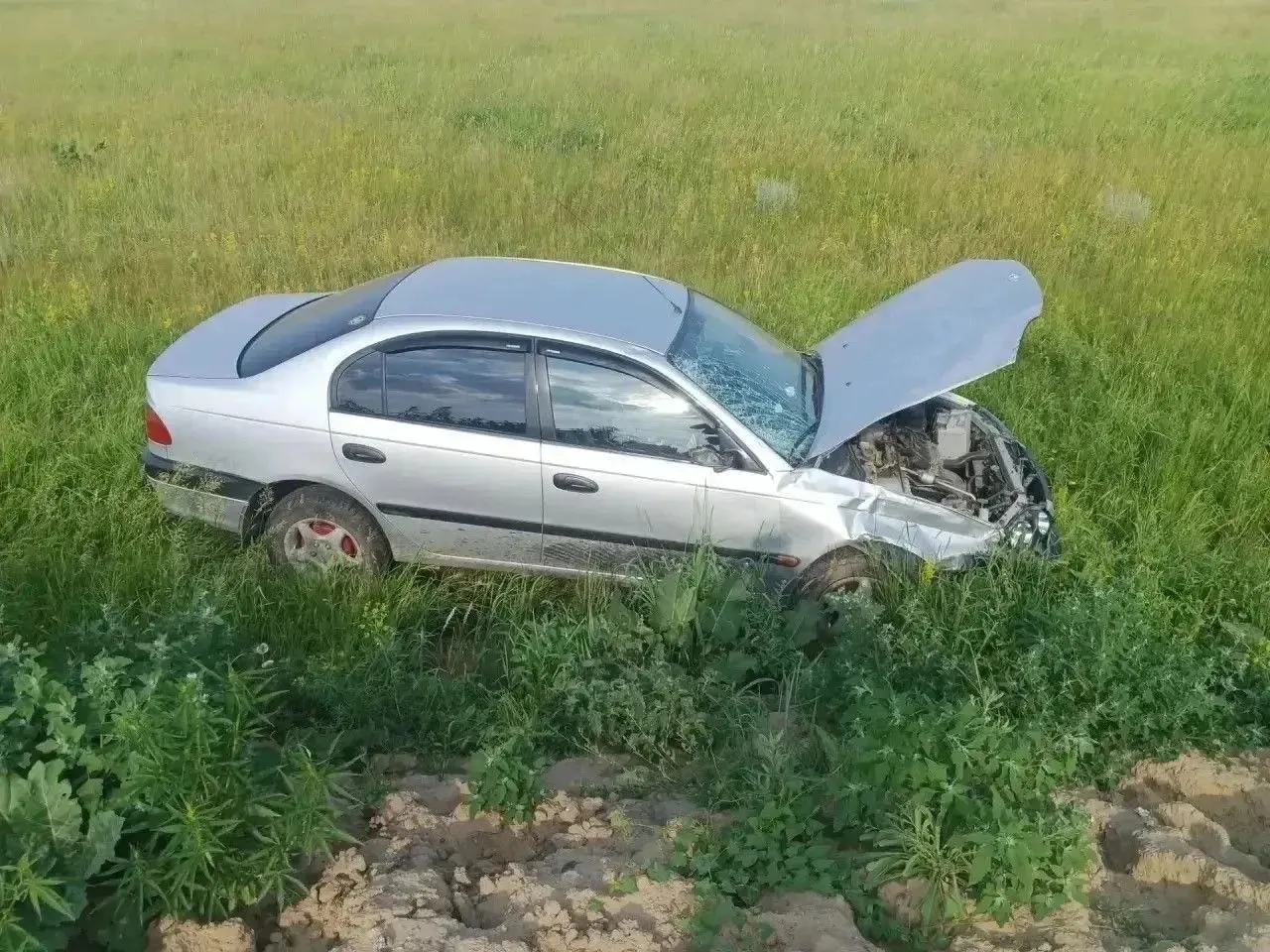 На дороге в Саргатском районе мопед столкнулся с Toyota Avensis — 15‑летний водитель мопеда скончался, проверку ведут полиция и прокуратура.