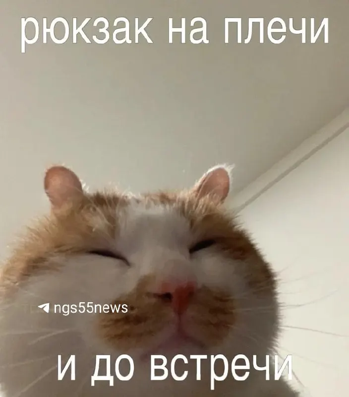 Численность региона на 1 января 2025 года — 1 805 806 человек. Снижение объясняют миграцией и естественной убылью; данные о смертности за 2024 год не подлежат публикации.