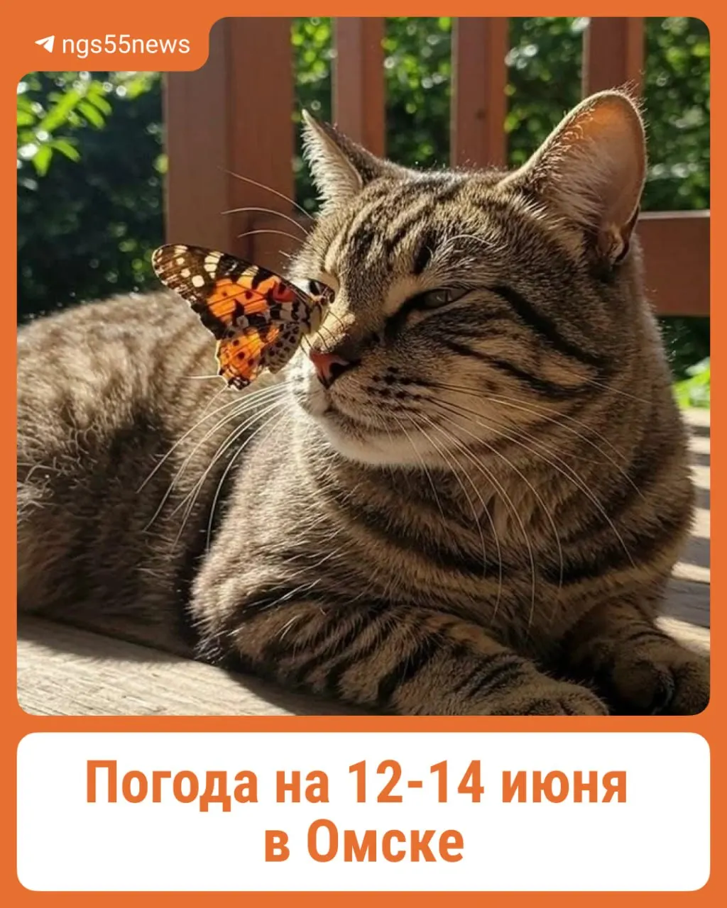 Краткий прогноз: 12 июня — без дождя и до +22°C; 13 июня — дожди утром и вечером, до +23°C; 14 июня — дожди днем и вечером, до +24°C.