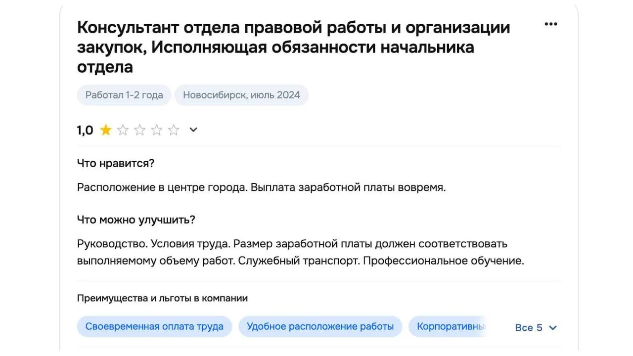 Экс‑сотрудники мэрии Новосибирска&nbsp;— о&nbsp;токсичной атмосфере, зарплатах и&nbsp;адаптации