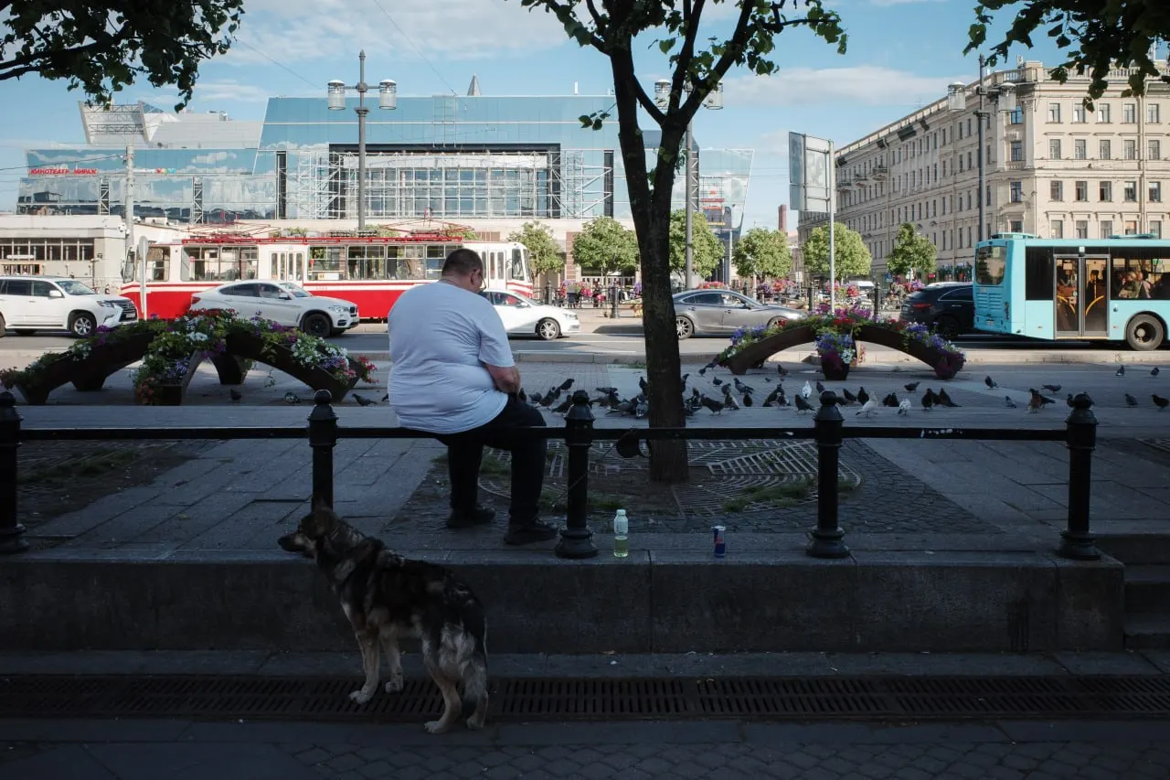 Коротко: в Петербурге присвоили новые топонимы, в парке Монрепо скошены цветущие ландыши, добавлены дополнительные поезда к празднику, с 1 июля банки будут уведомлять законных представителей о счетах несовершеннолетних, в Волгоградской области есть погибшие и пострадавшие после атаки, а в крупнейшей библиотеке страны создали спецхран для «деструктивной» литературы.