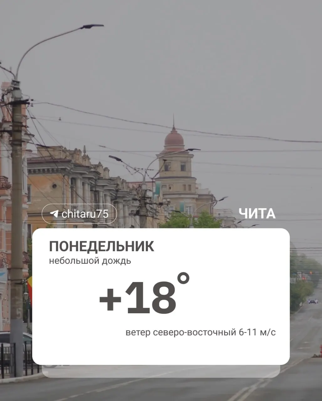 Ночью в Чите температура держалась примерно на отметке +6°C. В западных районах края наблюдались кратковременные заморозки до −3°C, к утру местами образовался туман.