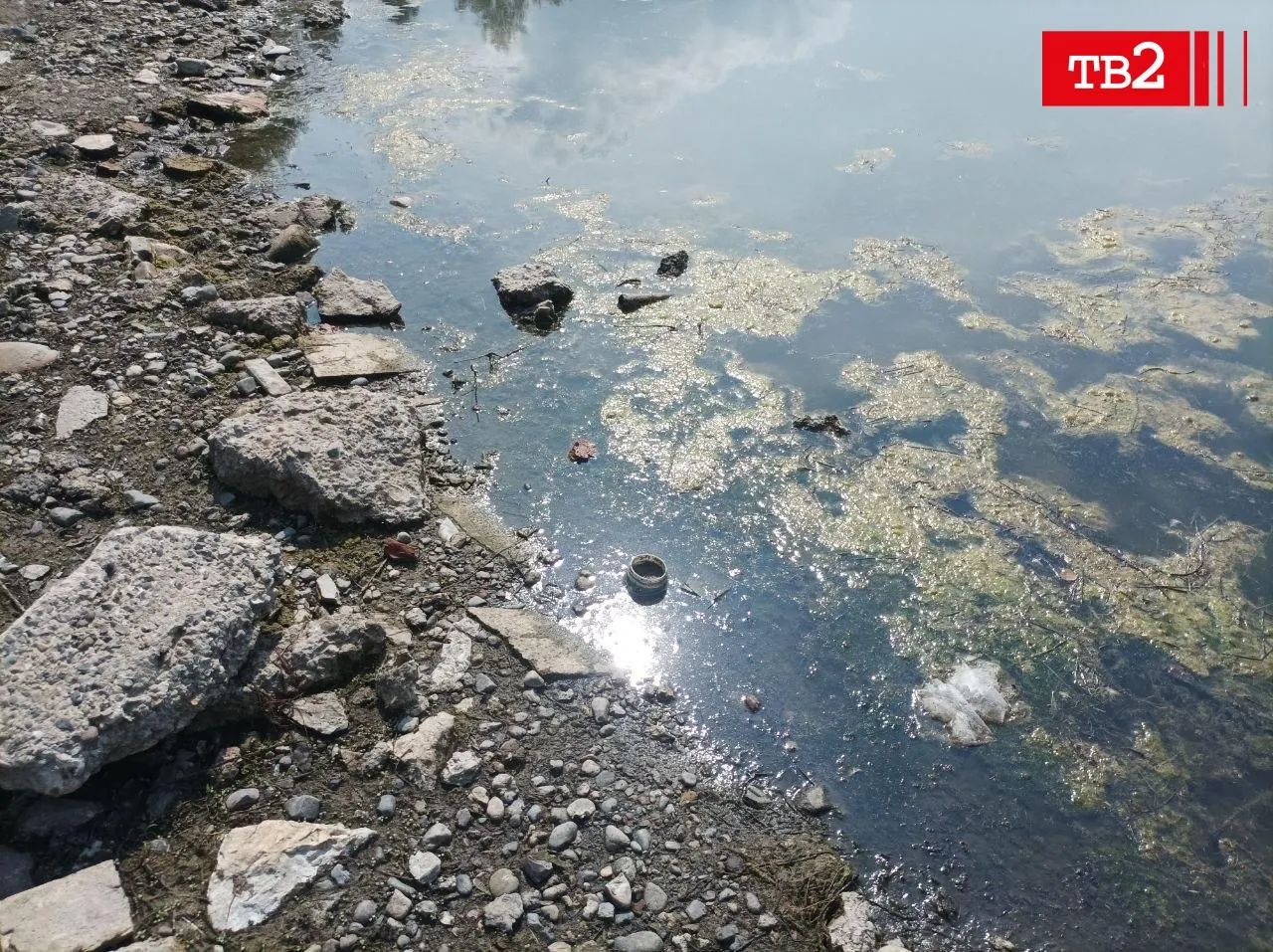 Жители Томска сообщают, что Белое озеро покрыто тиной, в воде плавает мусор и обнаружена мертвая утка; ранее регистрировалась массовая гибель рыбы.