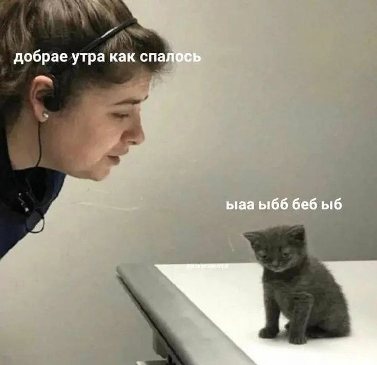 С 12:00 и до вечера прогнозируют дождь в Омске. Возьмите зонт и тепло оденьтесь — не забывайте сохранять хорошее настроение.