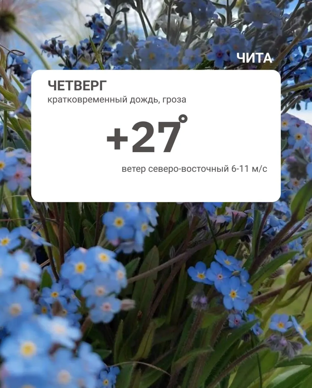 Ночью в Чите температура держалась на уровне +6…+8 °C; в Забайкальском крае — от +3 до +8, местами до +13. Днём ожидается потепление.